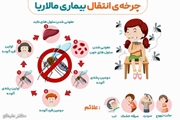 چرخه انتقال مالاریا