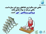 ماهی جزو سالم ترین مواد غذایی روی زمین